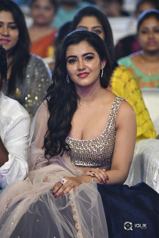 Nela-Ticket-Movie-Audio-Launch-Photos